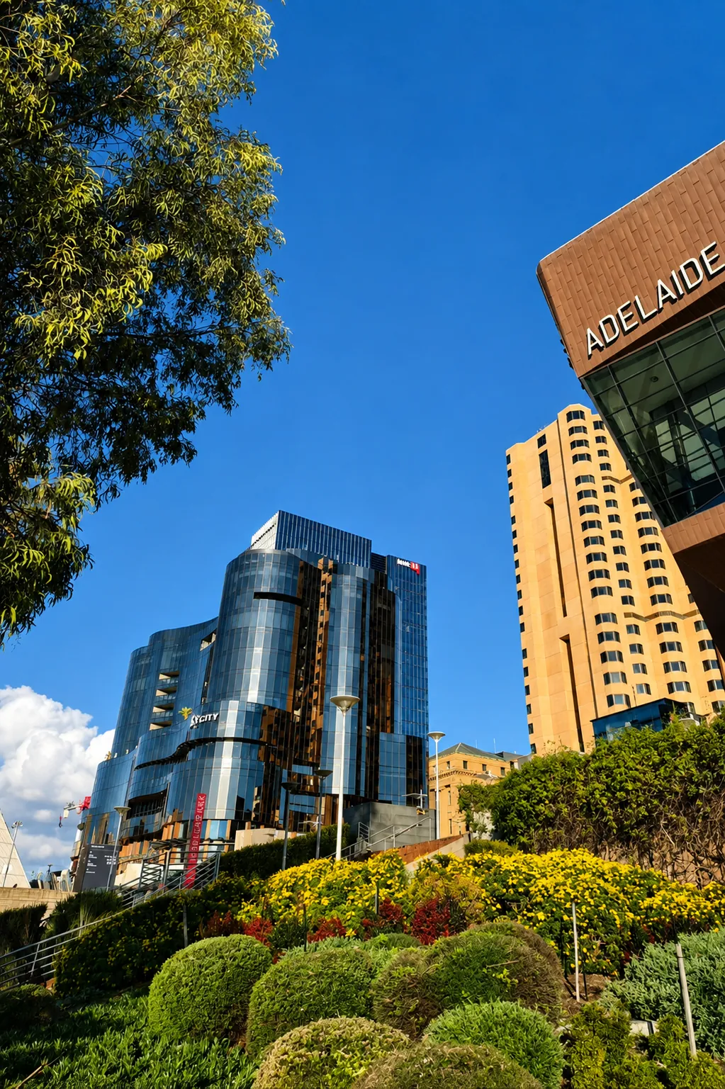 Adelaide city buildings and greenery under a clear blue South Australian sky by day